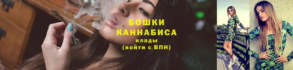 mix Богородицк