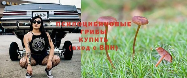 бутик Богданович