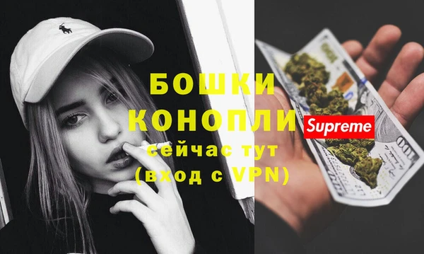 гидропоника Богородск