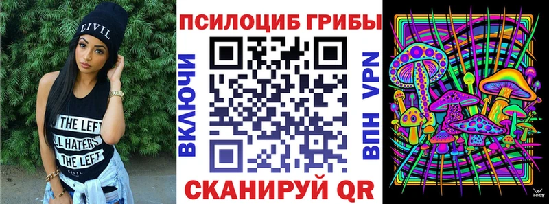МЕГА   купить наркотик  Комсомольск-на-Амуре  Галлюциногенные грибы мицелий 